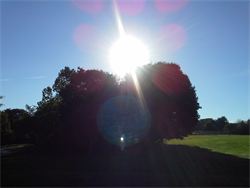 View Outside My Writing Window - Best Thing Ever